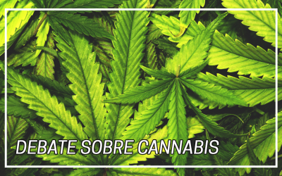 Debate sobre Cannabis